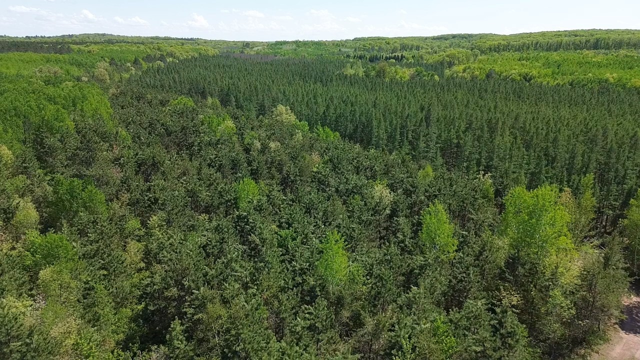 349 X 5th Avenue Shell Lake, WI 54871 - Photo 12 of 37