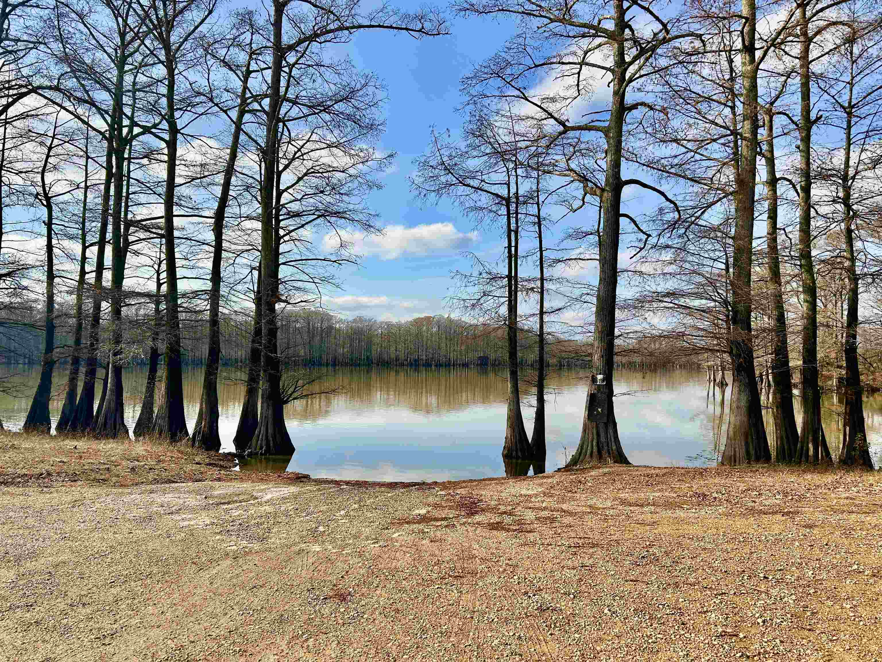 330 Chisholm Lake Camp Road Ripley, TN 38063 - Photo 2 of 13 a view of a terrace