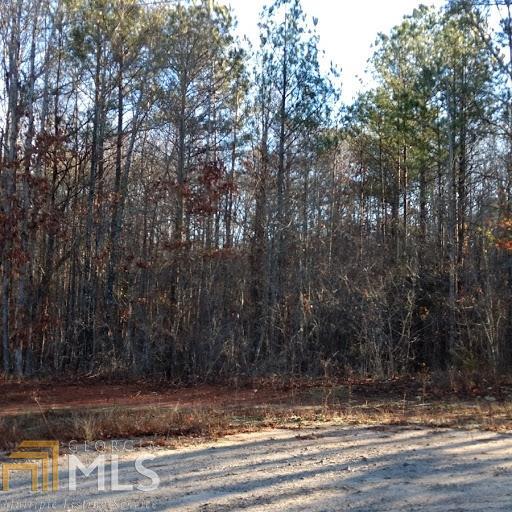 157 Kay Road Griffin, GA 30223 - Photo 1 of 1 a view of a backyard of the house
