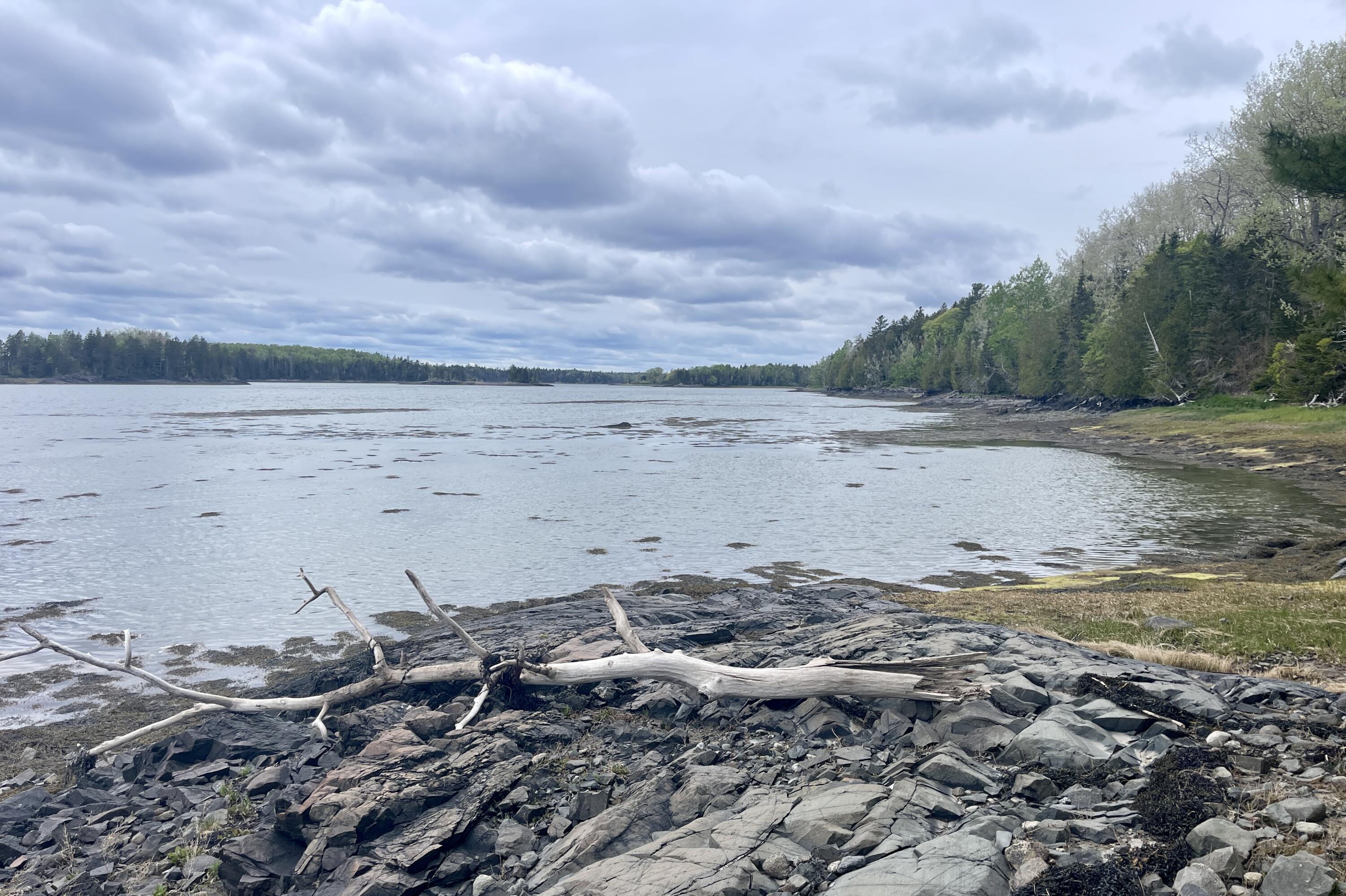 800 Straight Bay Road Lubec, ME 04652 - Photo 115 of 148 The shore