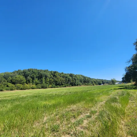 a view of a grassy field with trees in the background