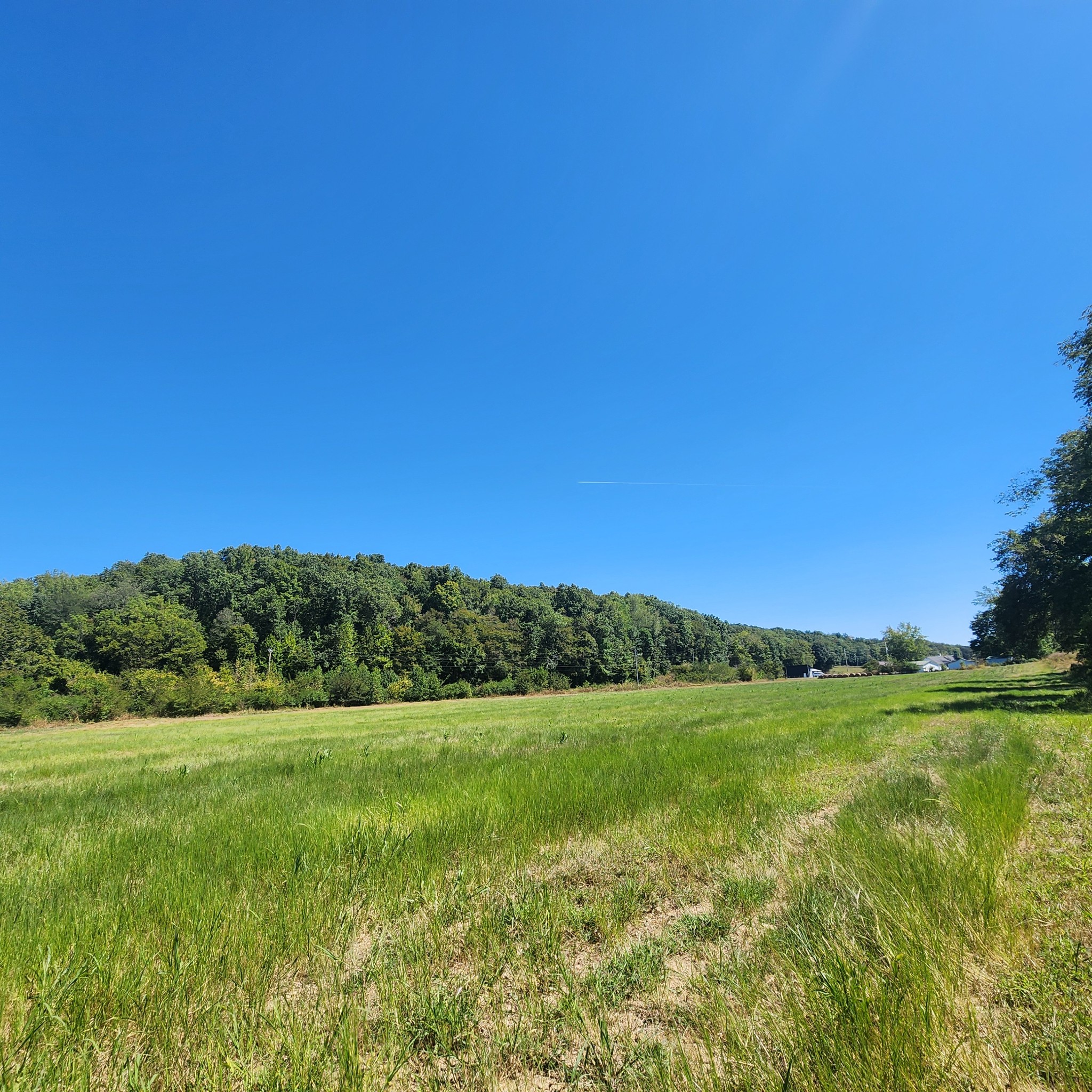 229 Bob Walker Road Bumpus Mills, TN 37028 - Photo 1 of 8 a view of a grassy field with trees in the background