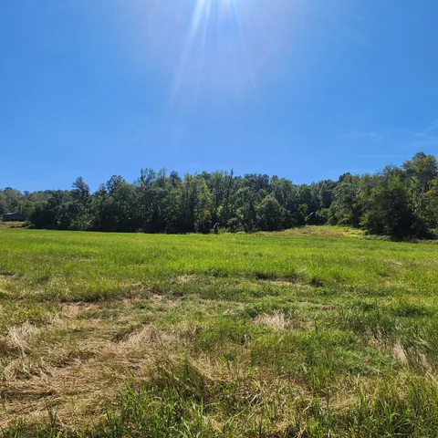 a view of a garden with a building in the background