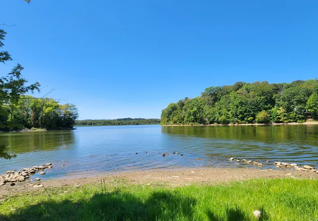 a view of a lake from a yard
