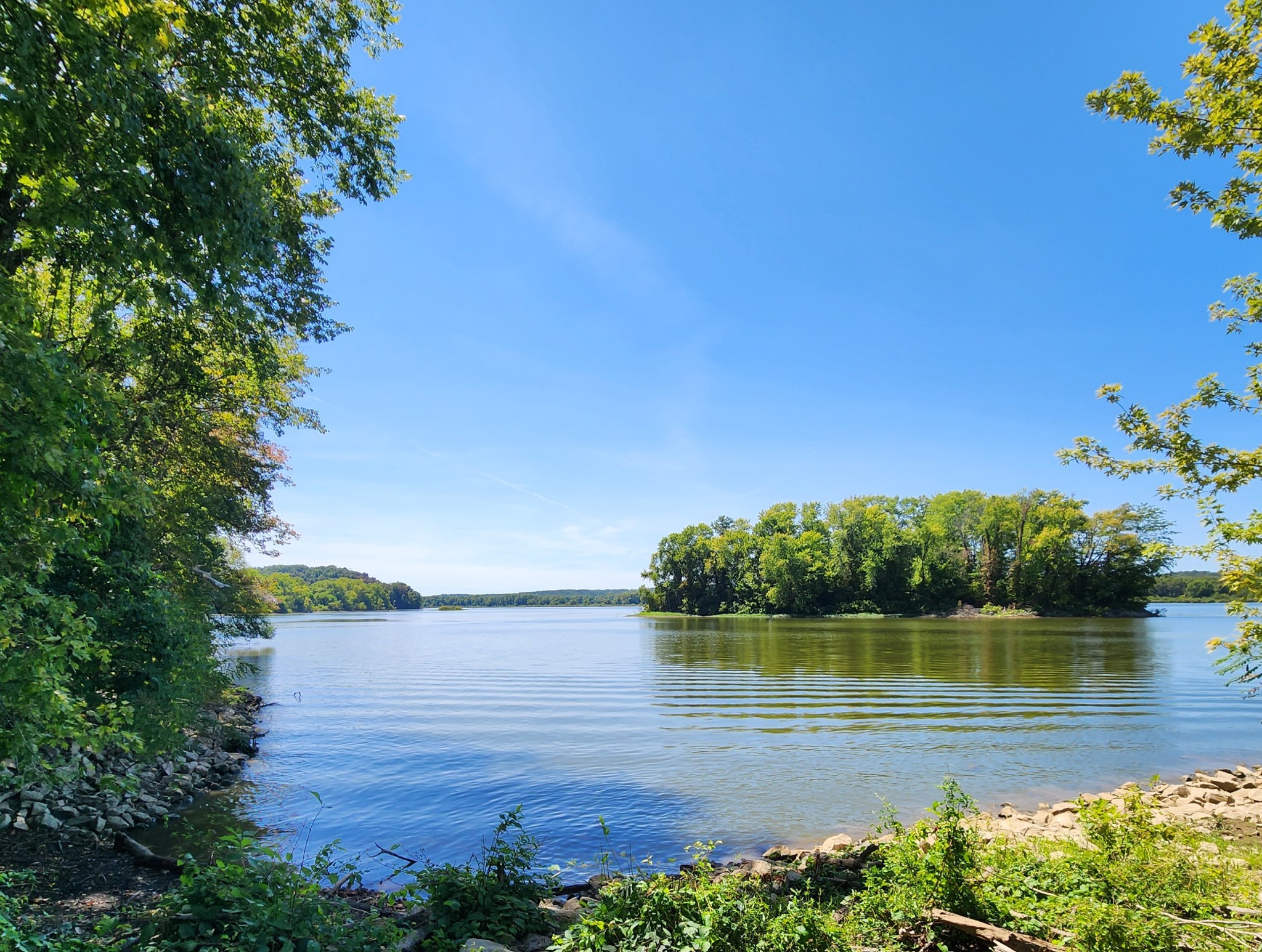 229 Bob Walker Road Bumpus Mills, TN 37028 - Photo 5 of 8 a view of a lake with a lake