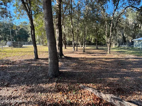 a view of a yard with trees