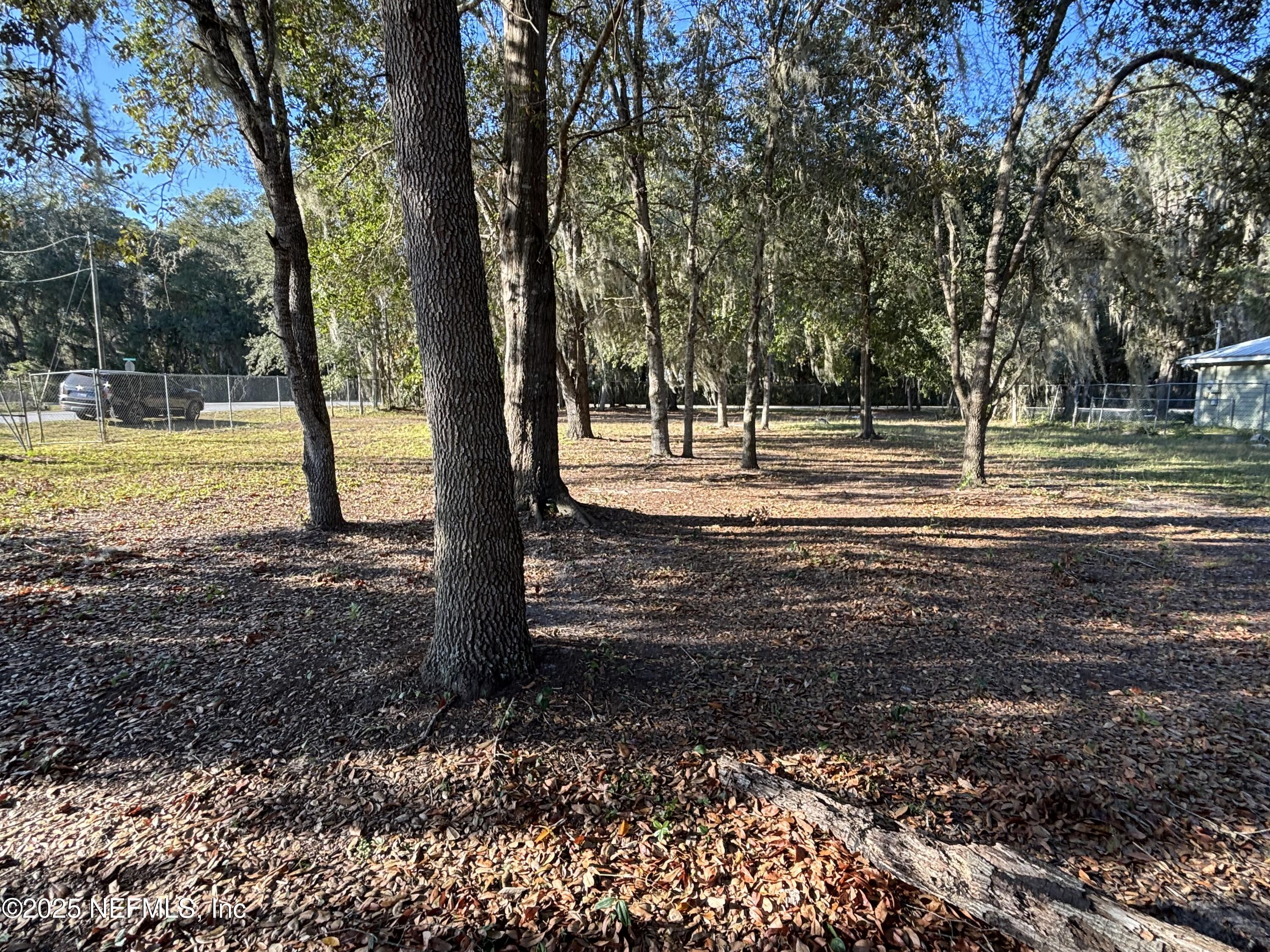 a view of a yard with trees