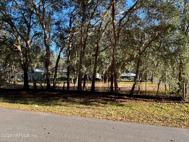 a view of a yard with a tree