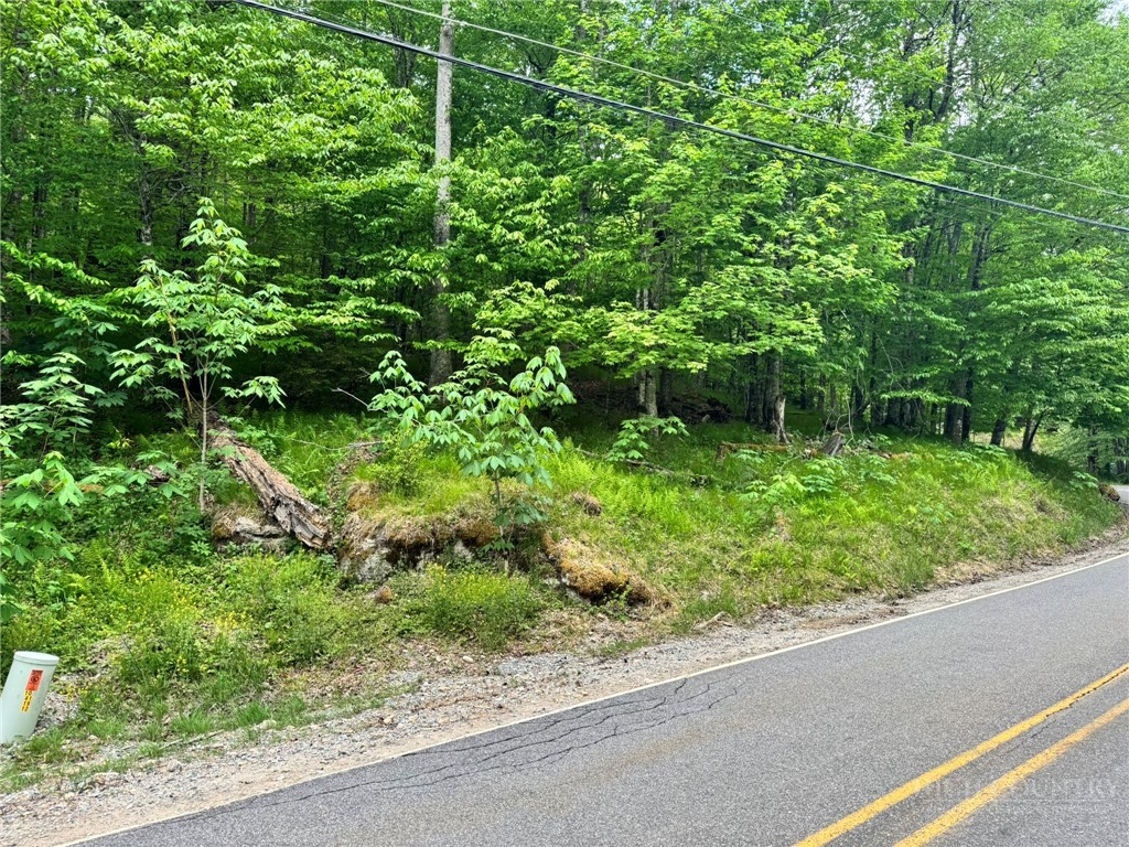 146 Hornbeam Road Beech Mountain, NC 28604 - Photo 14 of 14