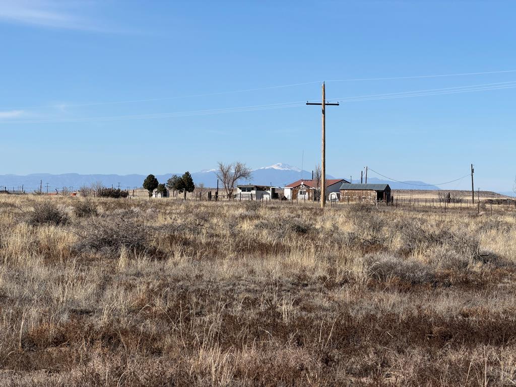 3471 40th Lane Avondale, CO 81022 - Photo 13 of 14 a view of a large tree with a dry yard