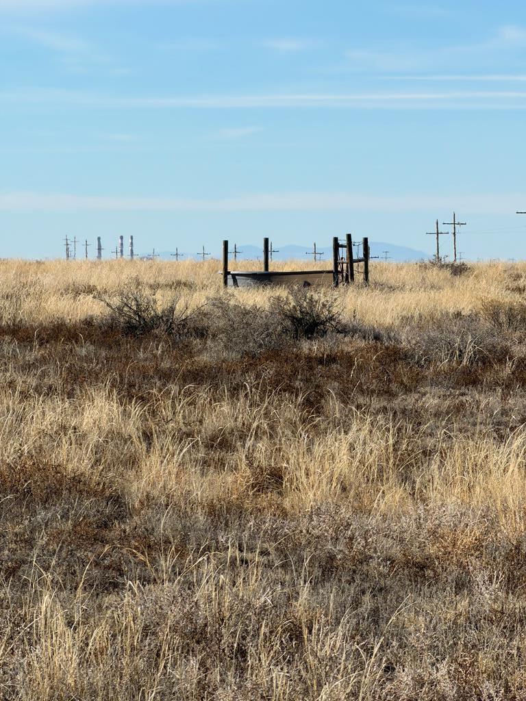 3471 40th Lane Avondale, CO 81022 - Photo 5 of 14 a view of a bunch of animals grazing on a field