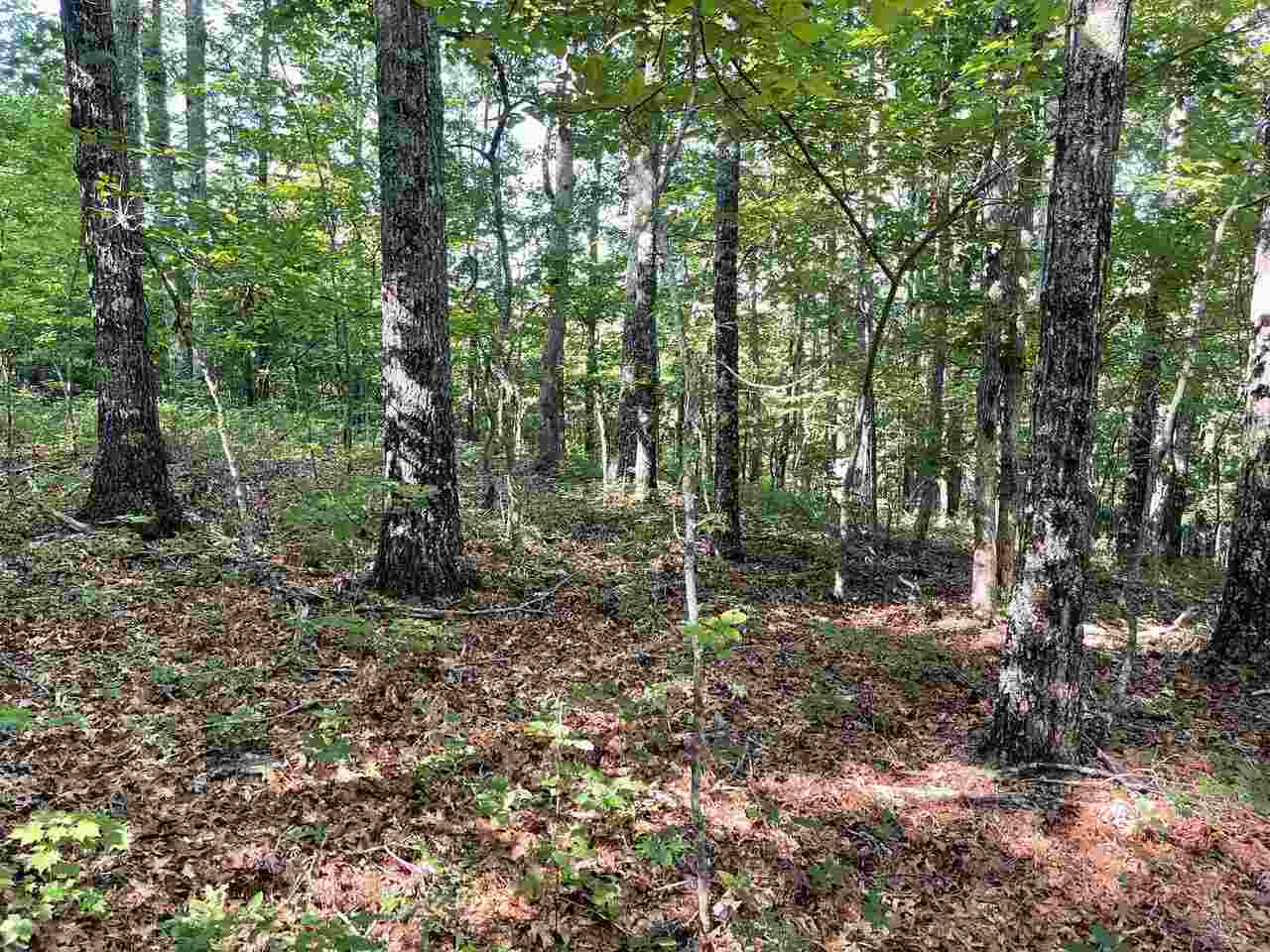 0 Mt Carmel Road, Unit 3 AC Morganton, GA 30560 - Photo 1 of 1 Gallery Image 1