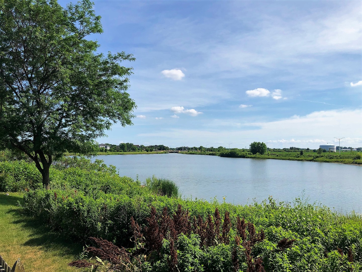 1637 Trails End Lane Bolingbrook, IL 60490 - Photo 25 of 40 a view of a lake from a yard