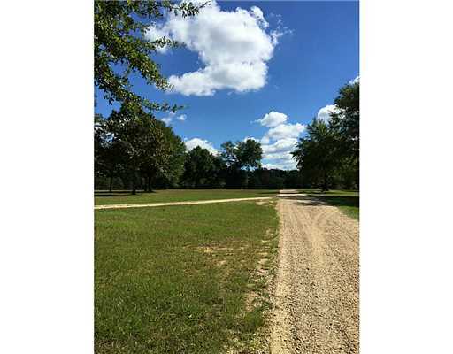 Beecher Road Lucedale, MS 39452 - Photo 3 of 4 Additional Photo
