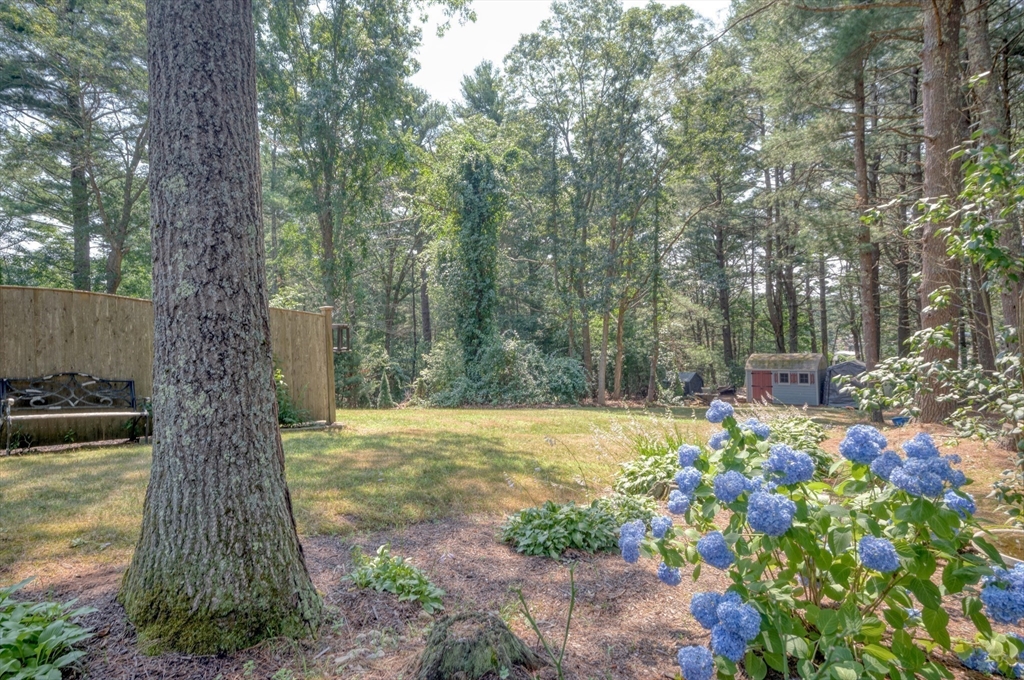 56 Musket Road Plymouth, MA 02360 - Photo 11 of 40 Gallery Image 11