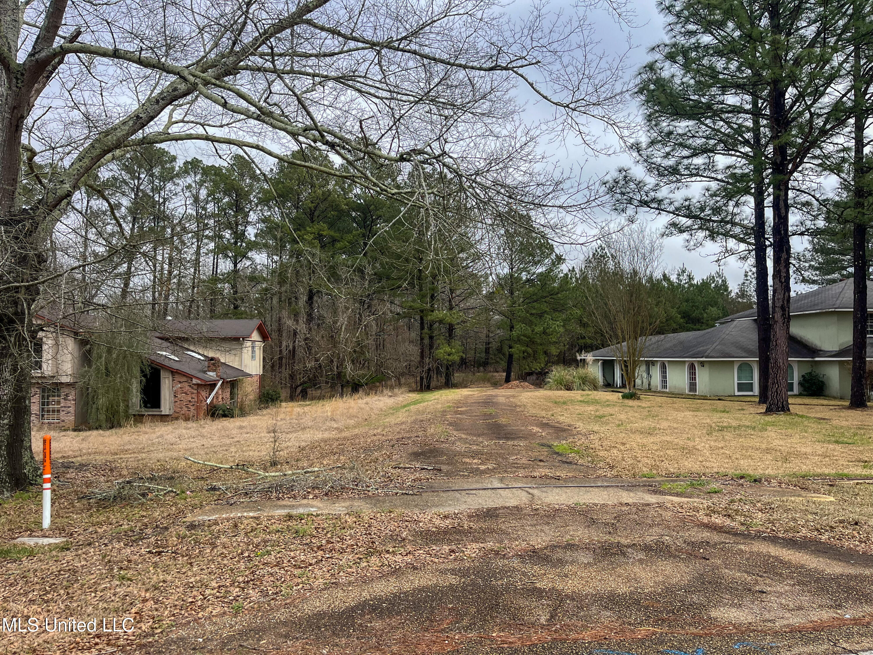 Forest Hill Road Byram, MS 39272 - Photo 14 of 28 IMG_9294