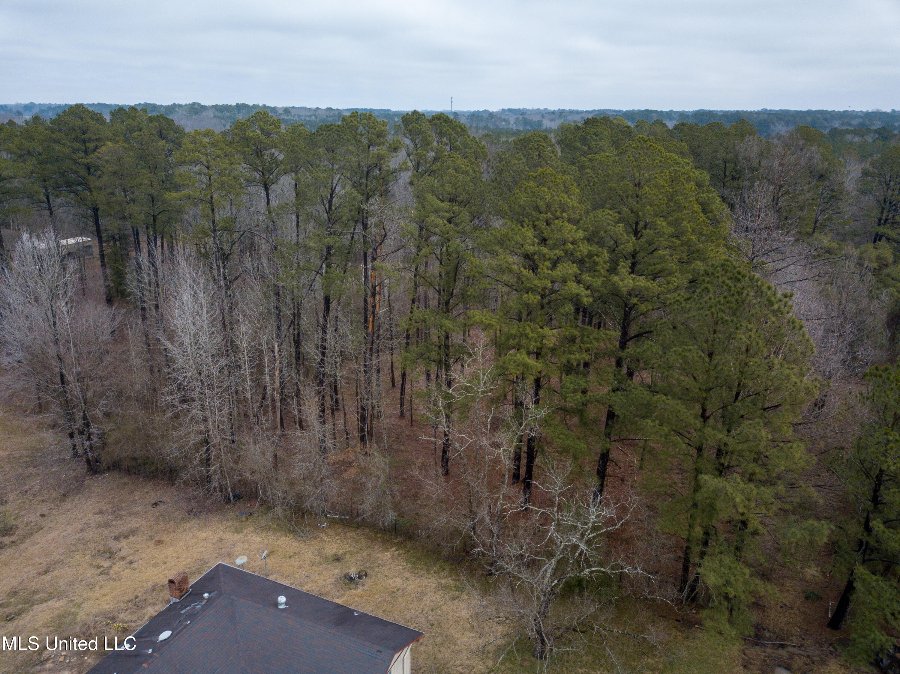 Forest Hill Road Byram, MS 39272 - Photo 18 of 28 DJI_0447