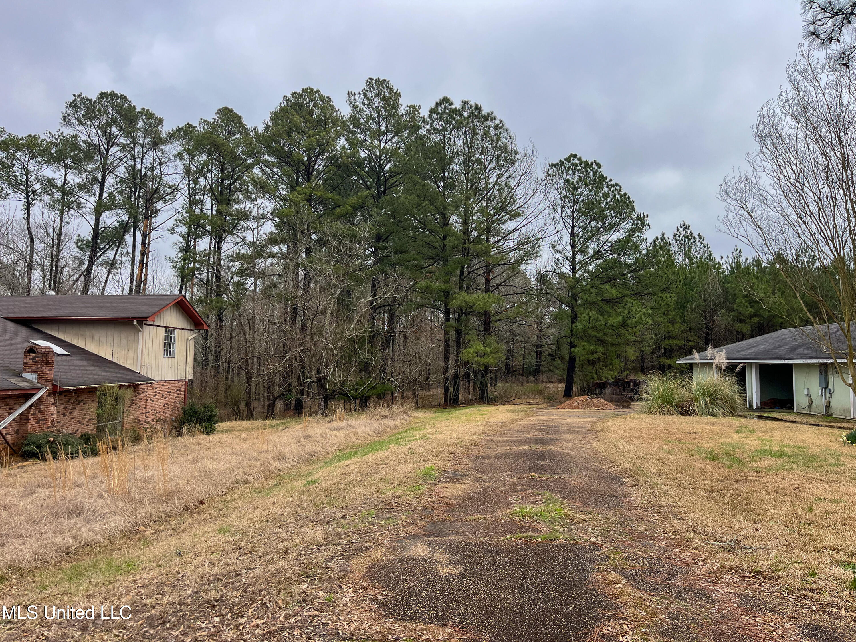 Forest Hill Road Byram, MS 39272 - Photo 21 of 28 IMG_9280