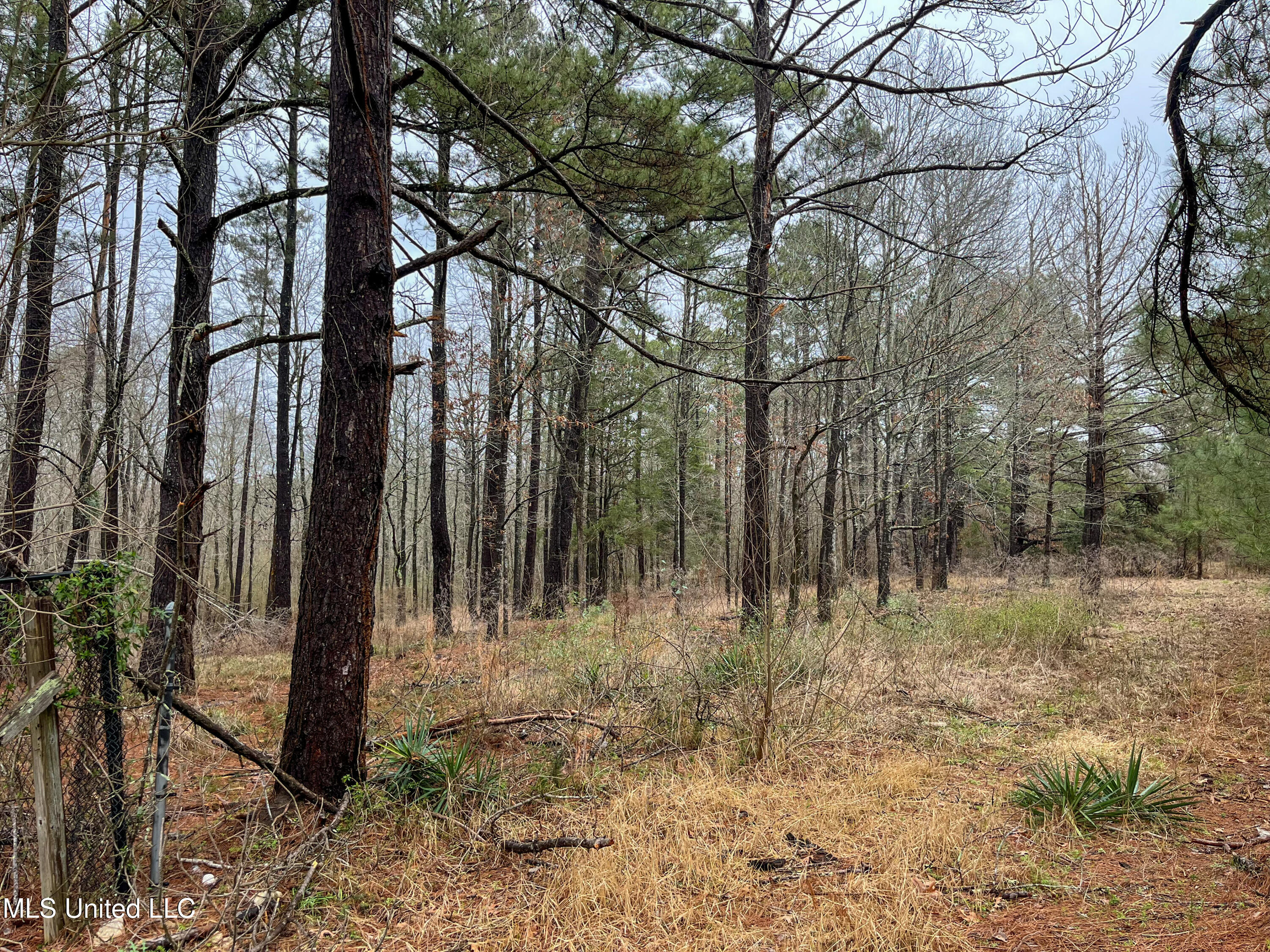 Forest Hill Road Byram, MS 39272 - Photo 22 of 28 IMG_9281