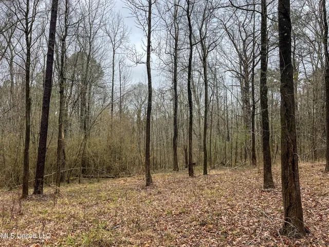 $42,000 | Forest Hill Road, Byram, MS 39272