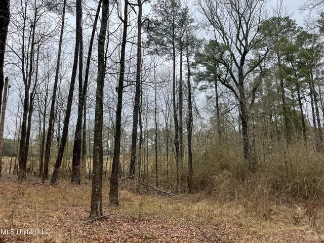 $42,000 | Forest Hill Road, Byram, MS 39272