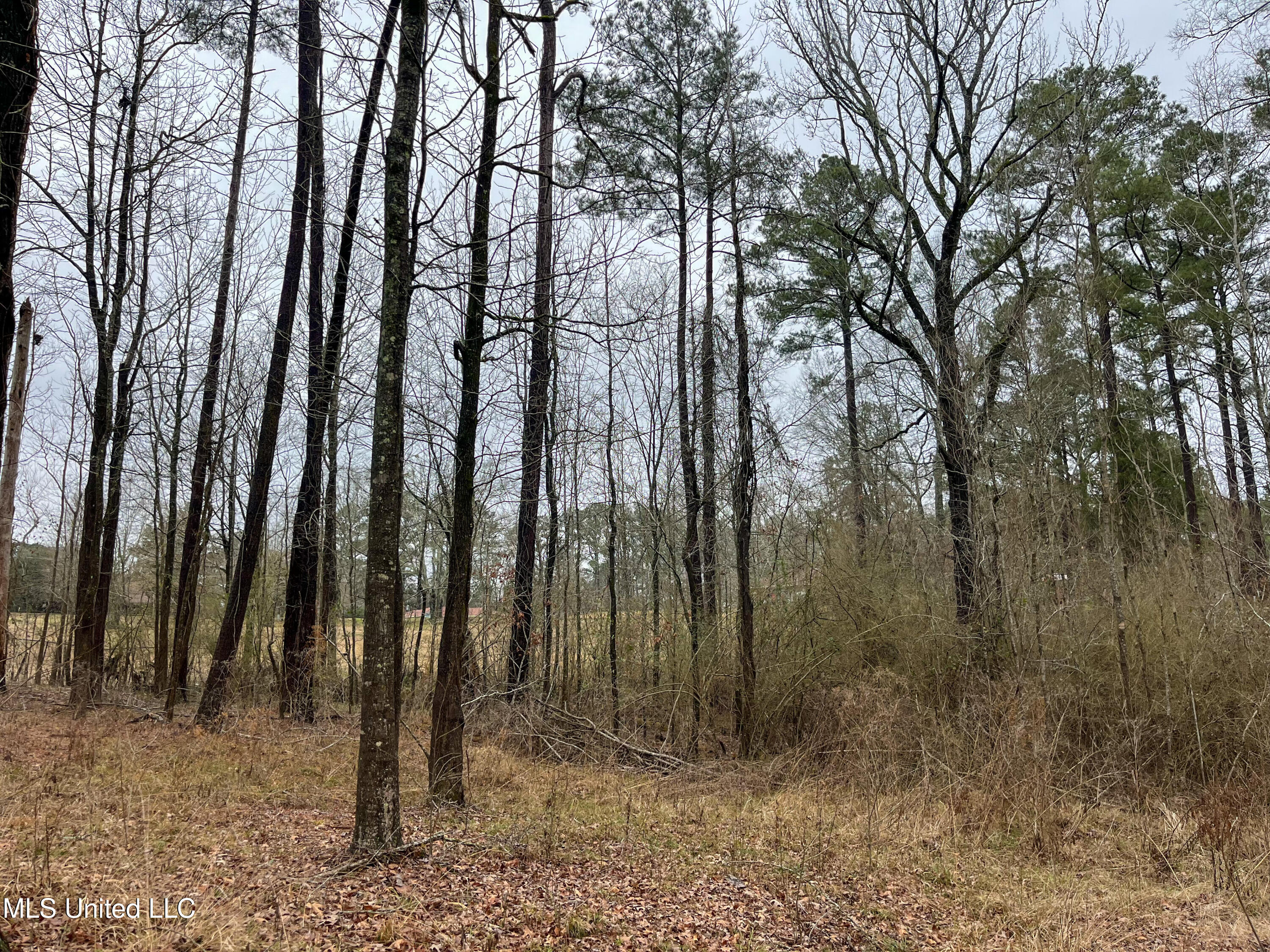 Forest Hill Road Byram, MS 39272 - Photo 24 of 28 IMG_9288