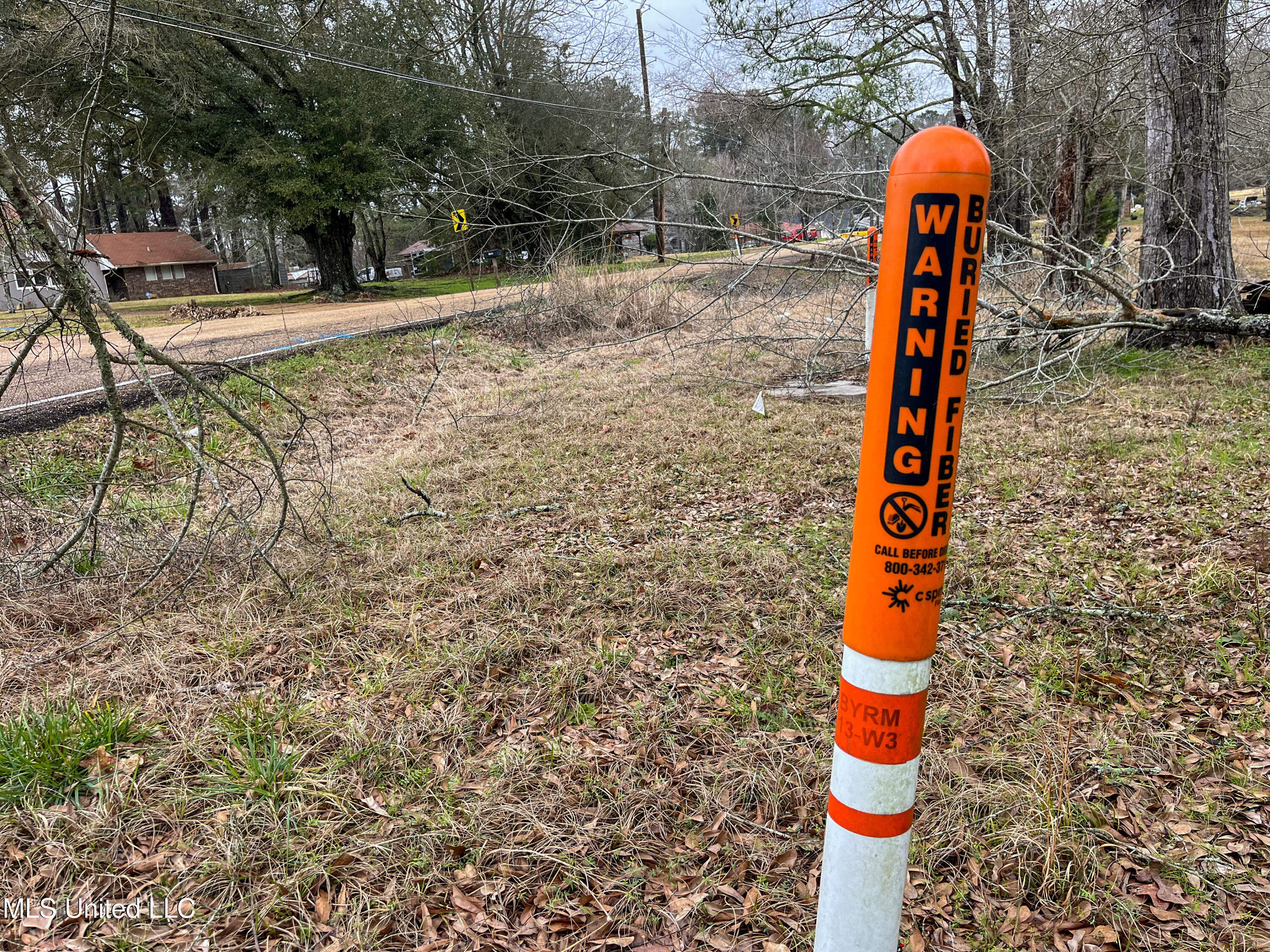 Forest Hill Road Byram, MS 39272 - Photo 5 of 28 IMG_9277