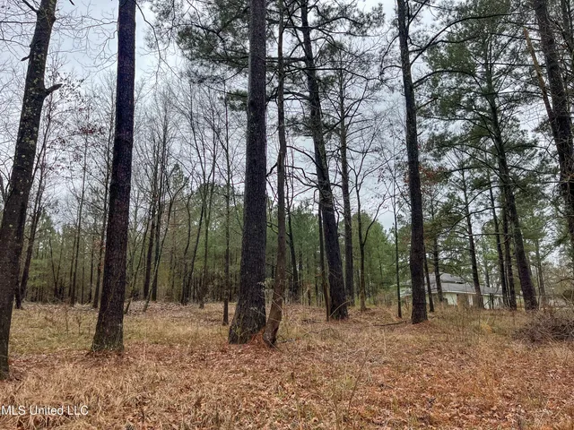 $42,000 | Forest Hill Road, Byram, MS 39272