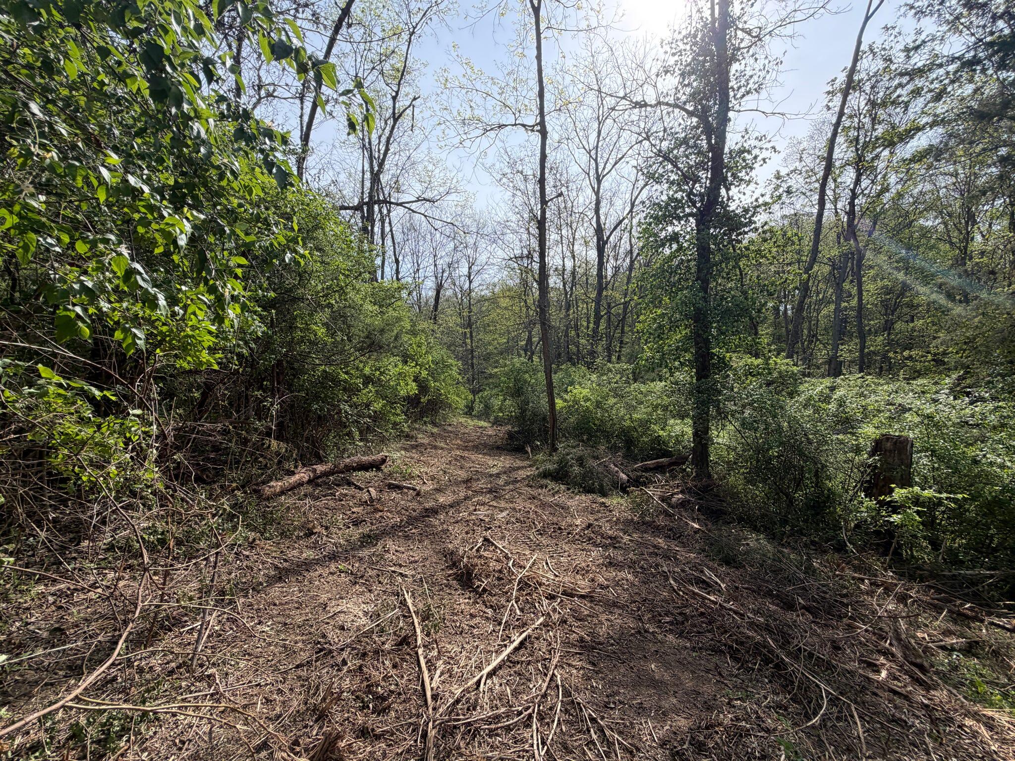 24 East Union Road Carlisle, KY 40311 - Photo 19 of 52 Trail