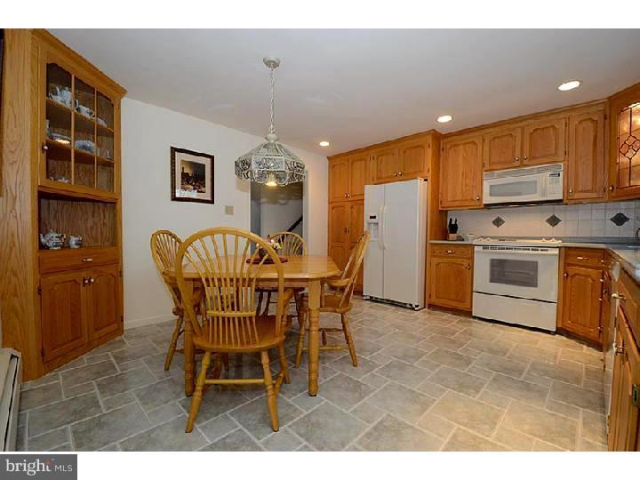 12 Lake Dr Spring Spring City, PA 19475 - Photo 11 of 25 Kitchen