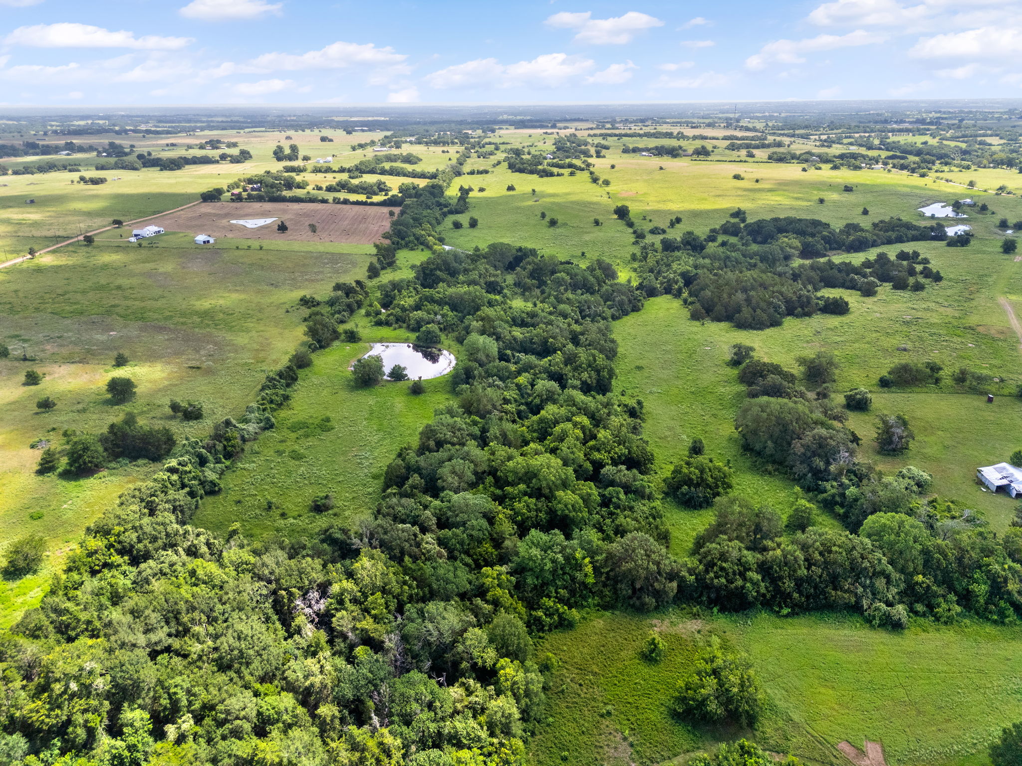 0 Thielemann Road Industry, TX 78944 - Photo 15 of 40 Vast green acreage unfolds under an open sky, dotted with mature trees and tranquil ponds.