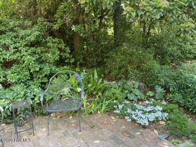 110 Canterbury Road Northwest Wilson, NC 27896 - Photo 33 of 36 IMG_5230