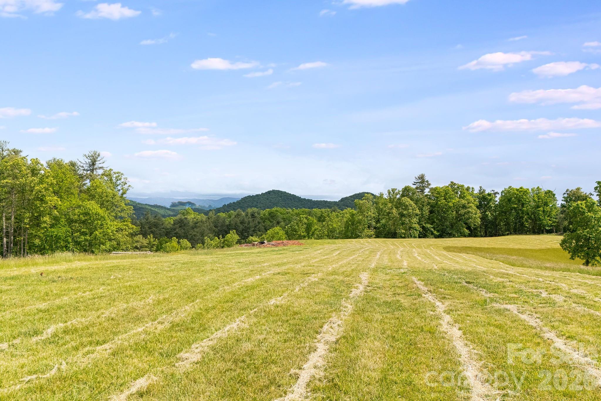 Tbd California Creek Road Mars Hill, NC 28754 - Photo 5 of 28