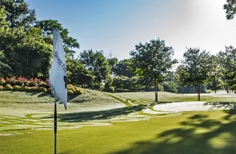 a view of a golf course
