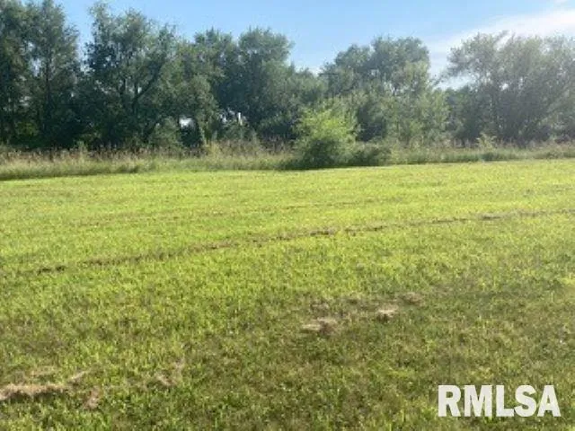 a view of outdoor space with trees all around
