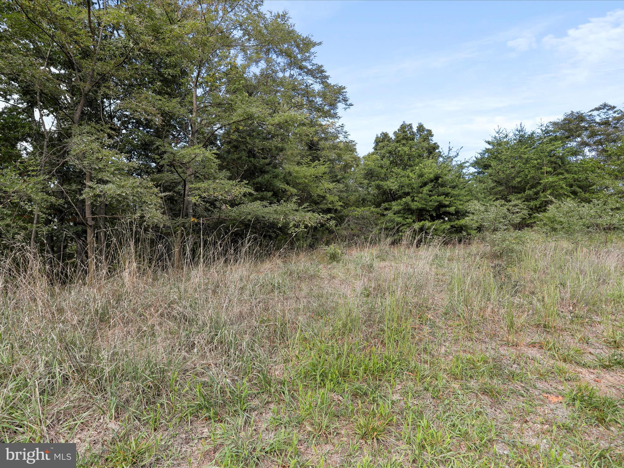 Cardinal Ridge Estates Romney, WV 26757 - Photo 11 of 55