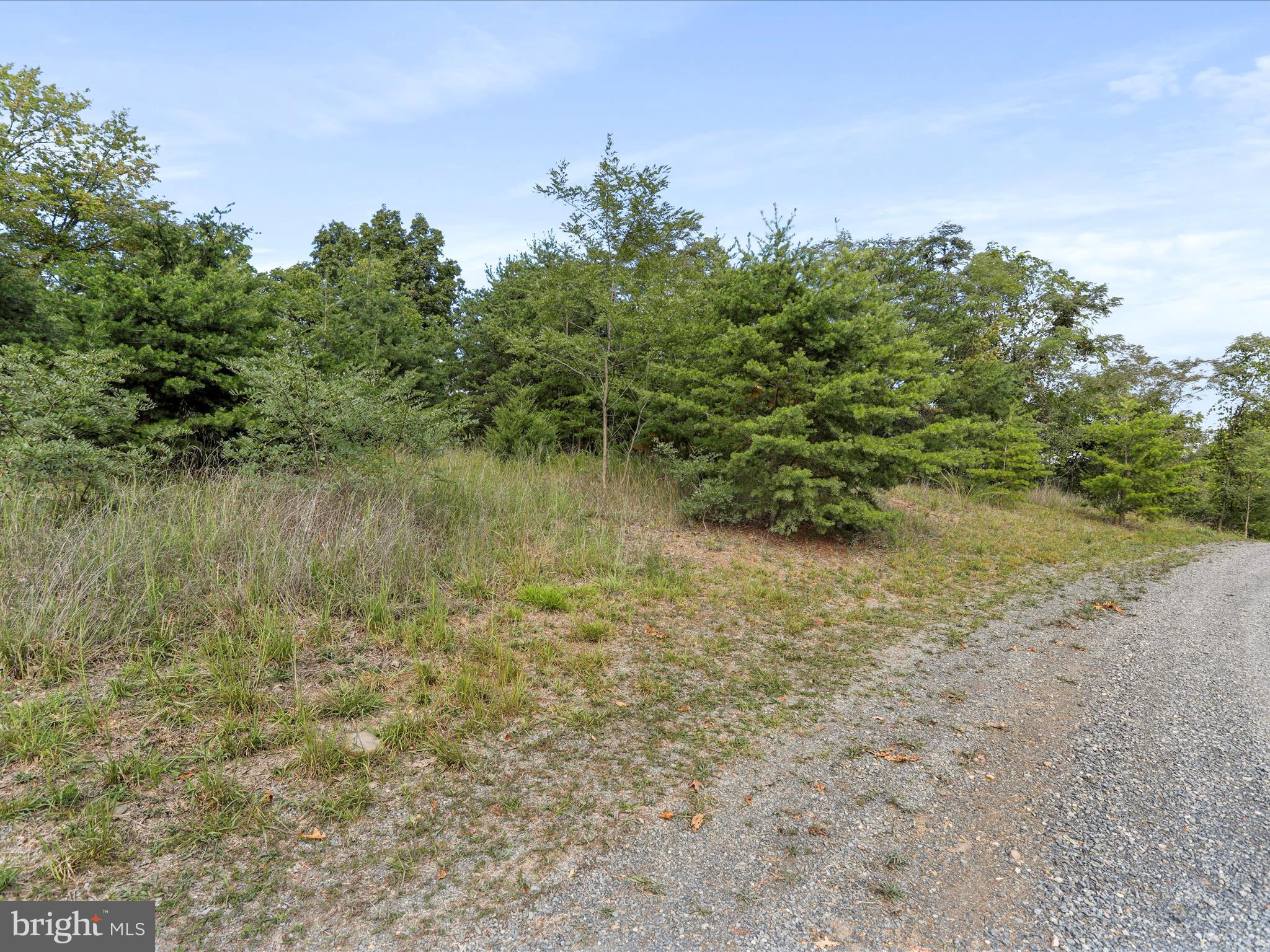 Cardinal Ridge Estates Romney, WV 26757 - Photo 12 of 55