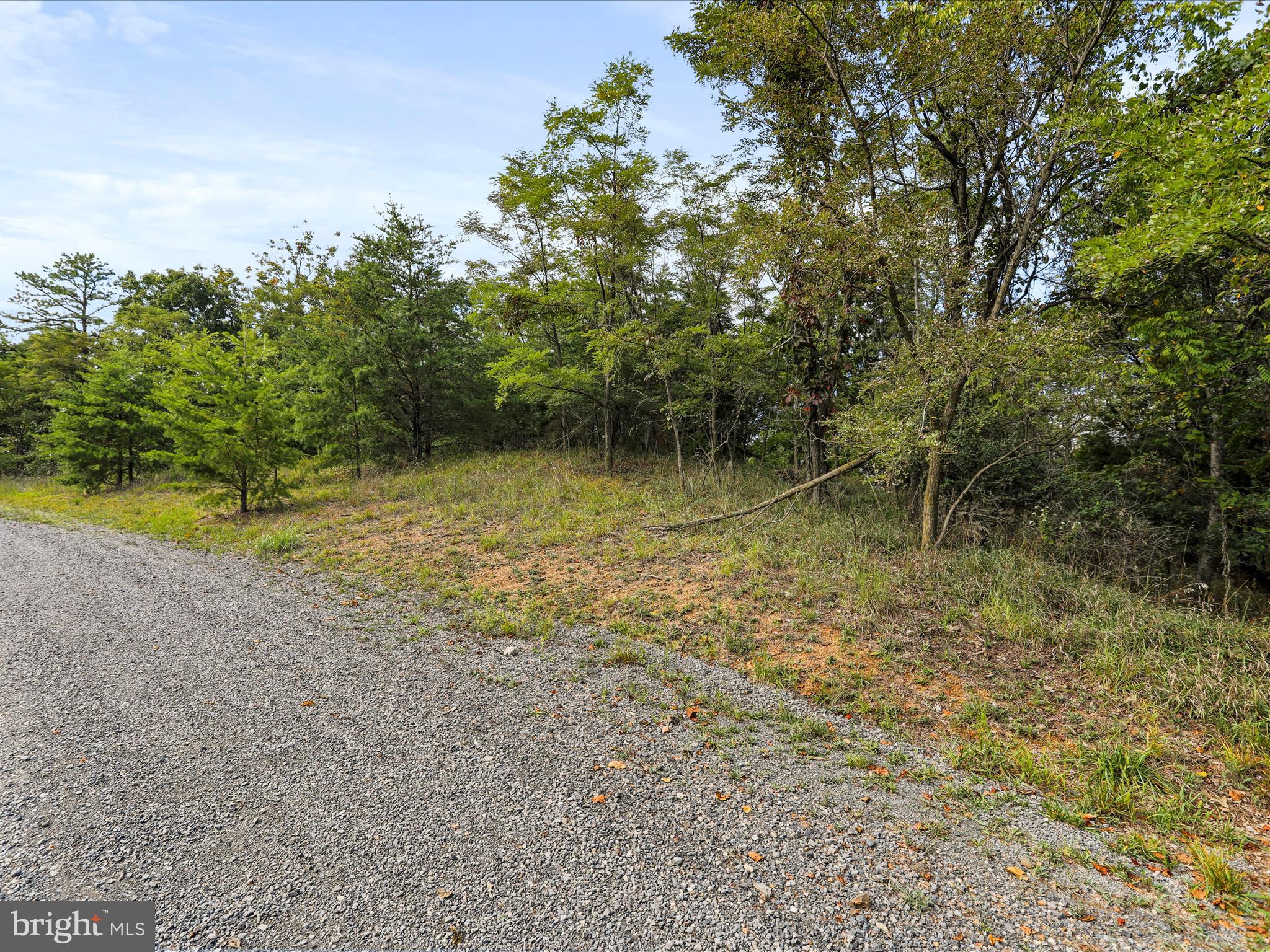 Cardinal Ridge Estates Romney, WV 26757 - Photo 14 of 55