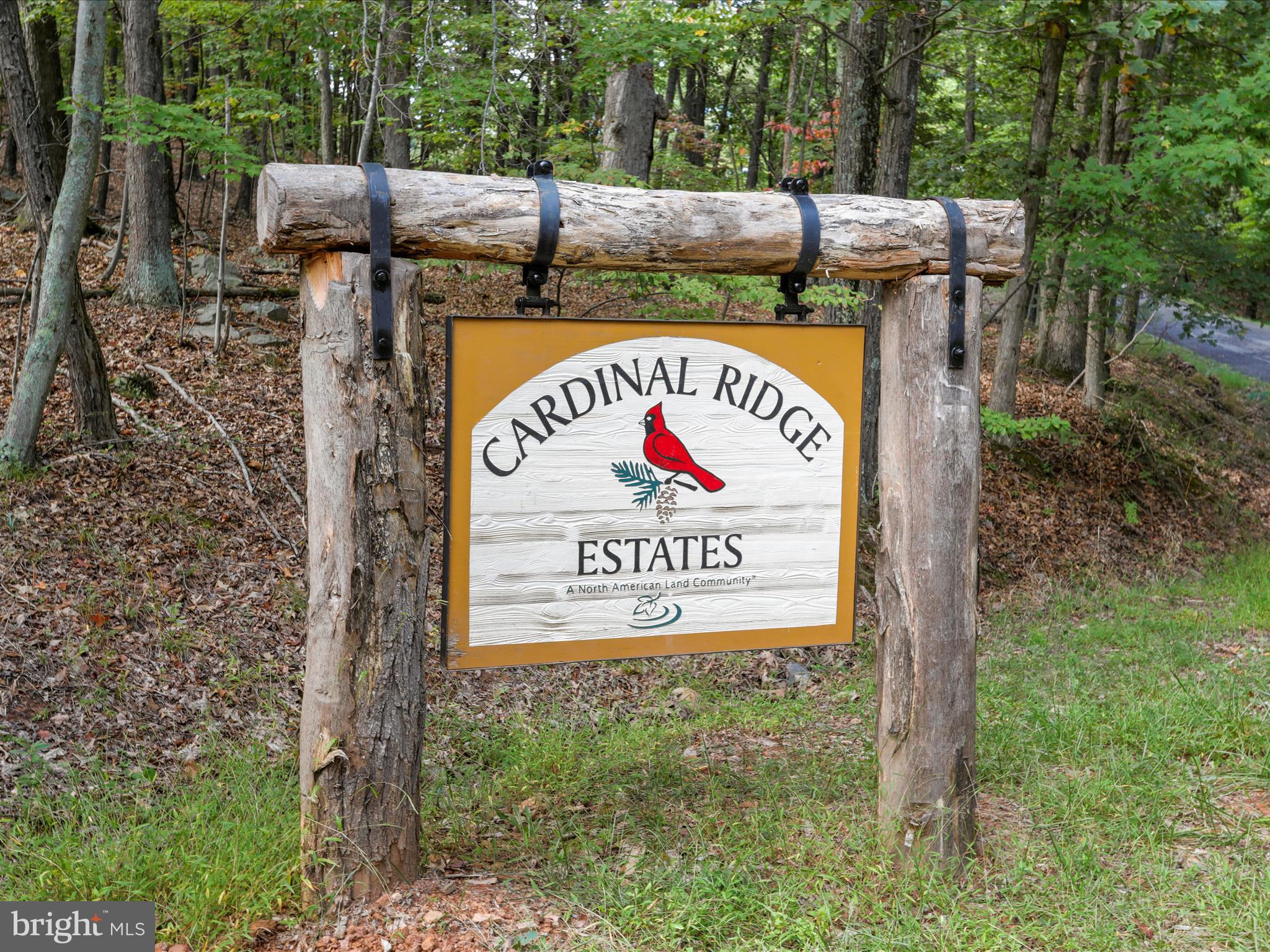 Cardinal Ridge Estates Romney, WV 26757 - Photo 2 of 55