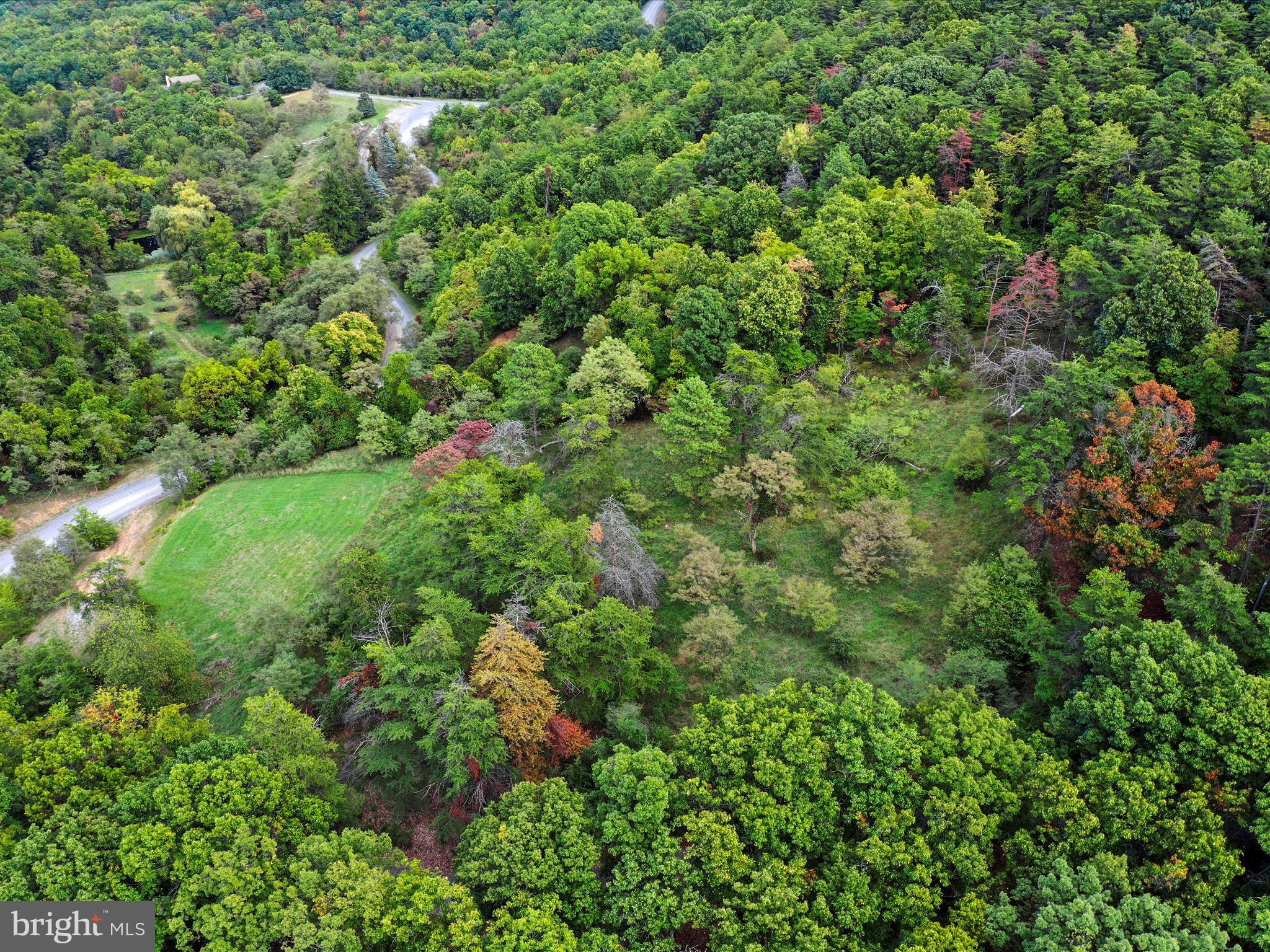 Cardinal Ridge Estates Romney, WV 26757 - Photo 30 of 55