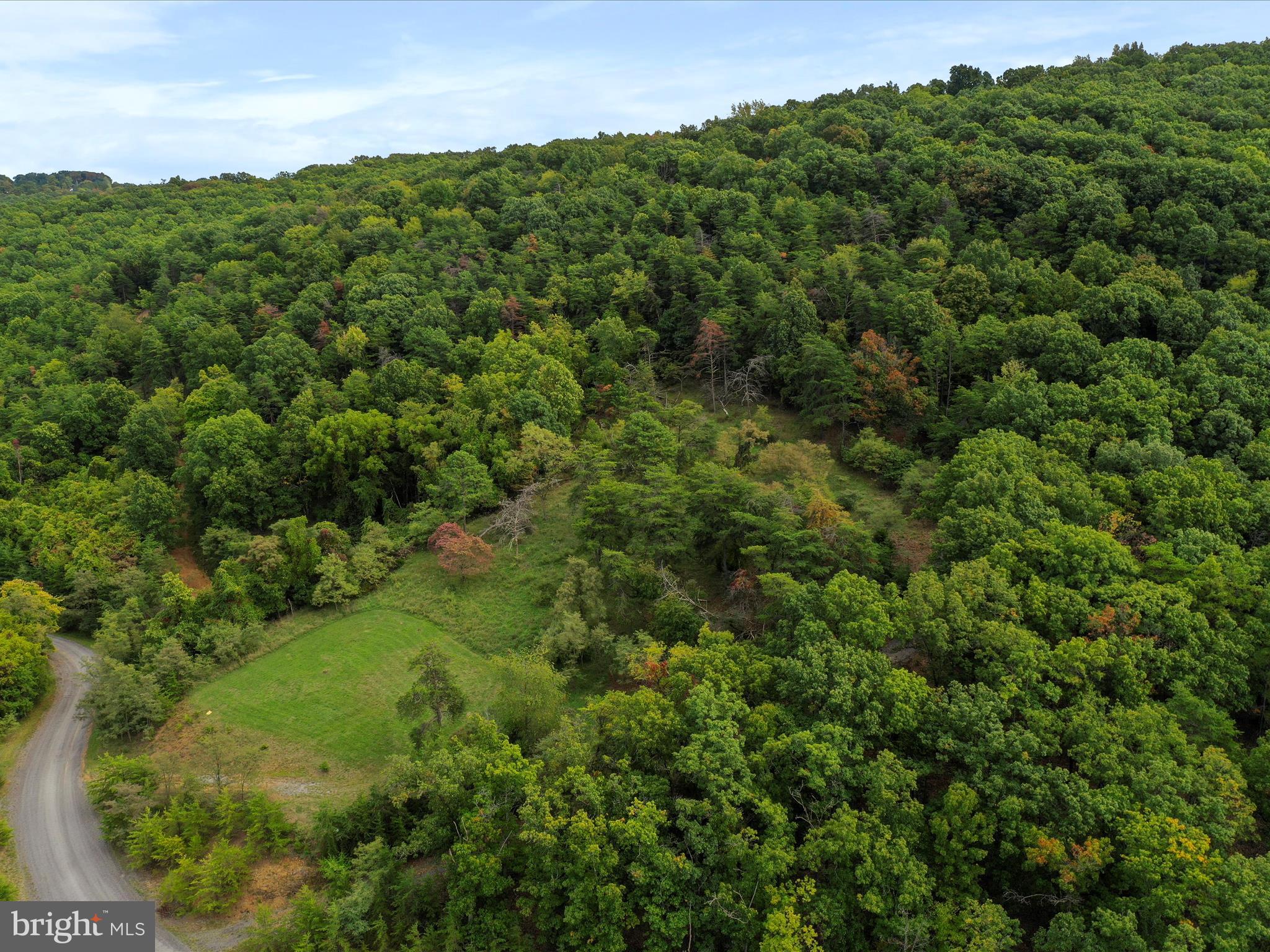 Cardinal Ridge Estates Romney, WV 26757 - Photo 33 of 55