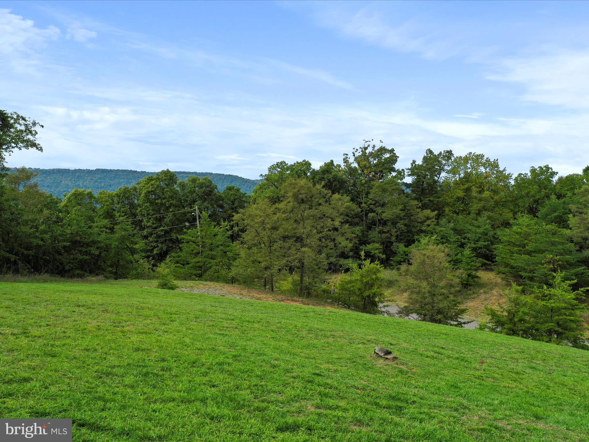 Cardinal Ridge Estates Romney, WV 26757 - Photo 5 of 55