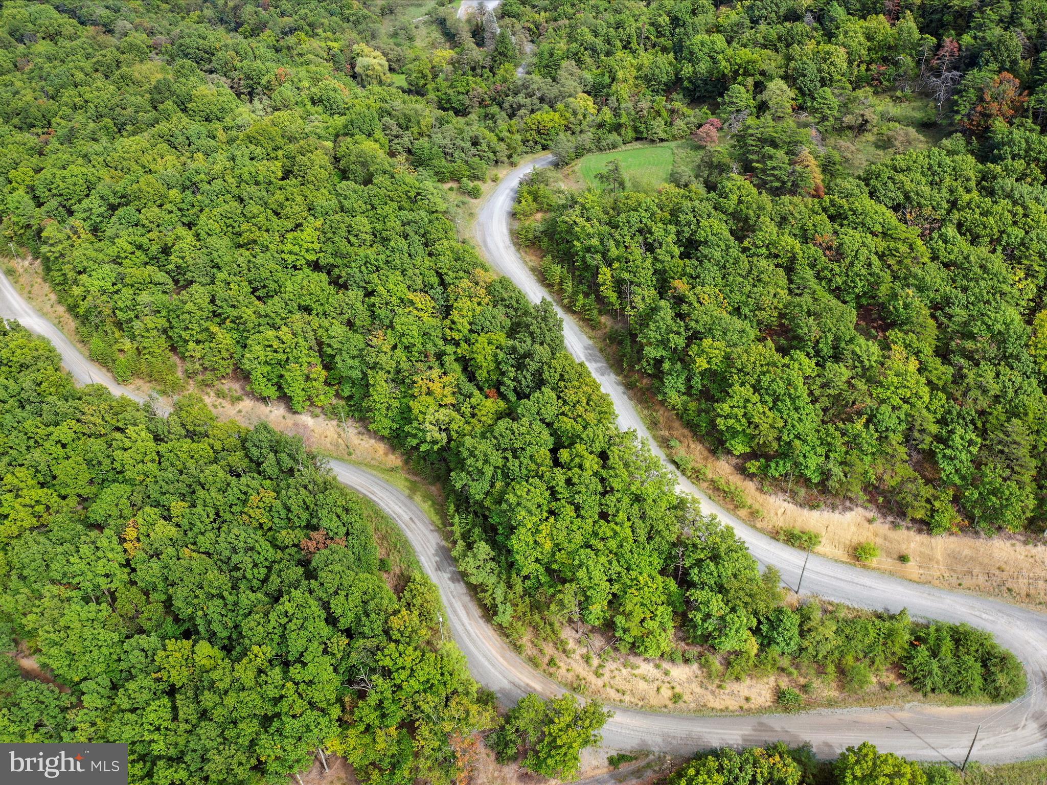 Cardinal Ridge Estates Romney, WV 26757 - Photo 51 of 55