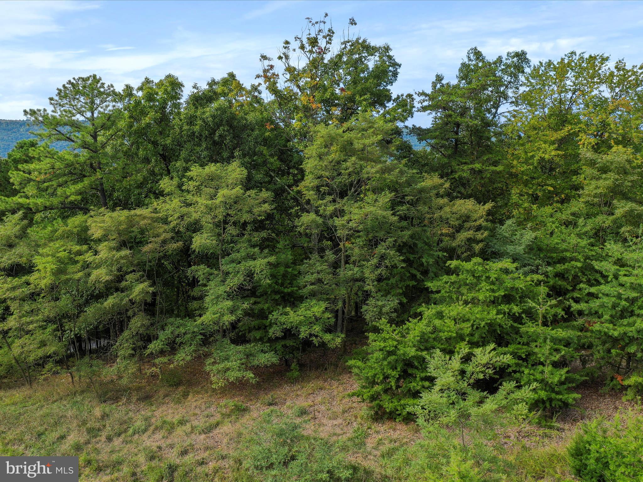 Cardinal Ridge Estates Romney, WV 26757 - Photo 54 of 55