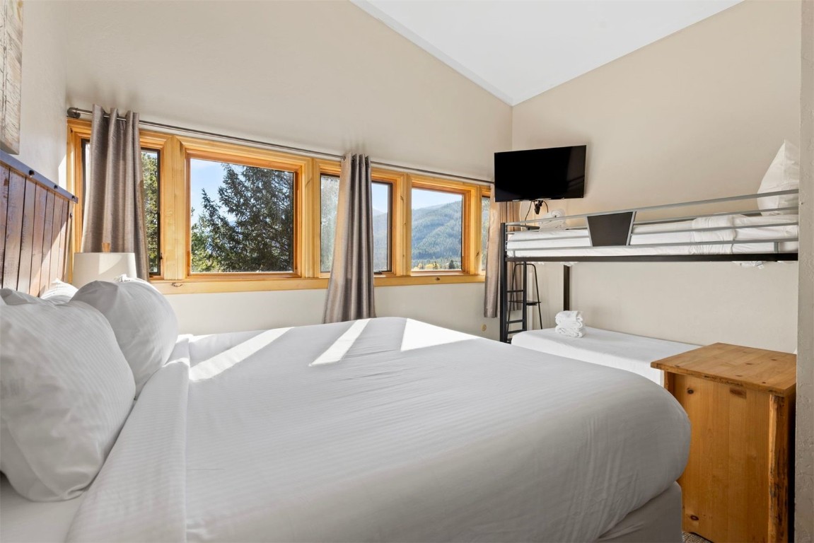 410 Tennis Club Road, Unit 1319 Keystone, CO 80435 - Photo 23 of 29 Gallery Image 23