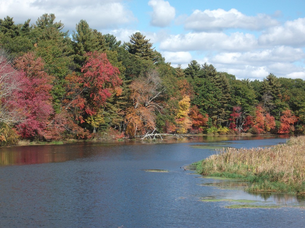 74 Pine Point Road Stow, MA 01775 - Photo 22 of 27 Gallery Image 22