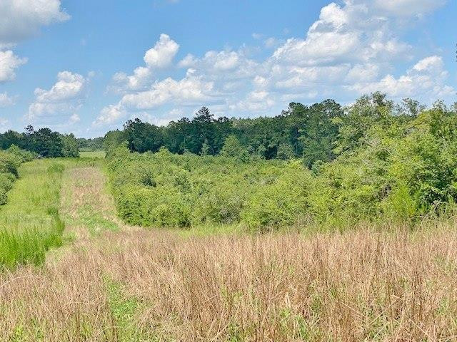 Tbd Vincetown Road Sandy Hook, MS 39478 - Photo 1 of 16 Main View