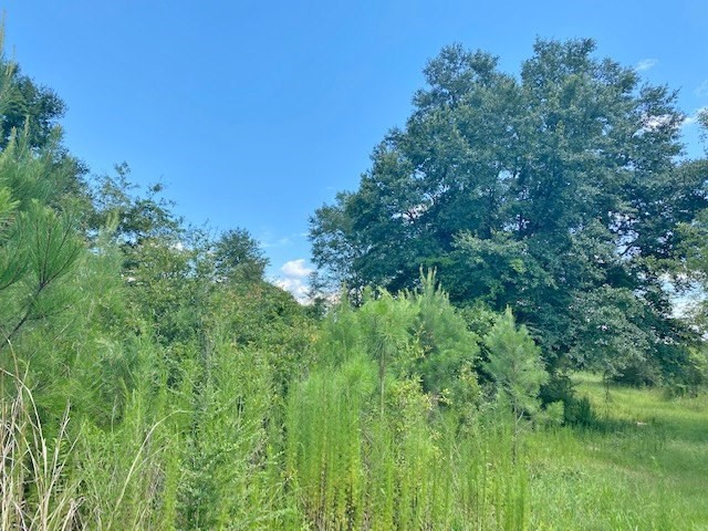 Tbd Vincetown Road Sandy Hook, MS 39478 - Photo 13 of 16 Photo 13