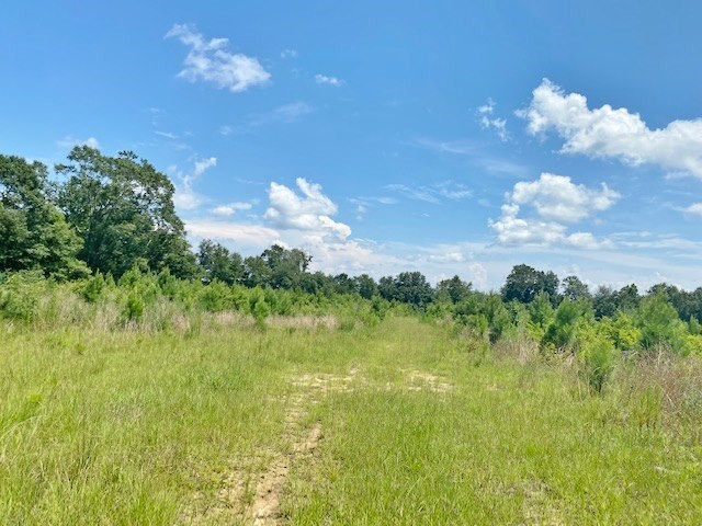 Tbd Vincetown Road Sandy Hook, MS 39478 - Photo 2 of 16 Photo 2
