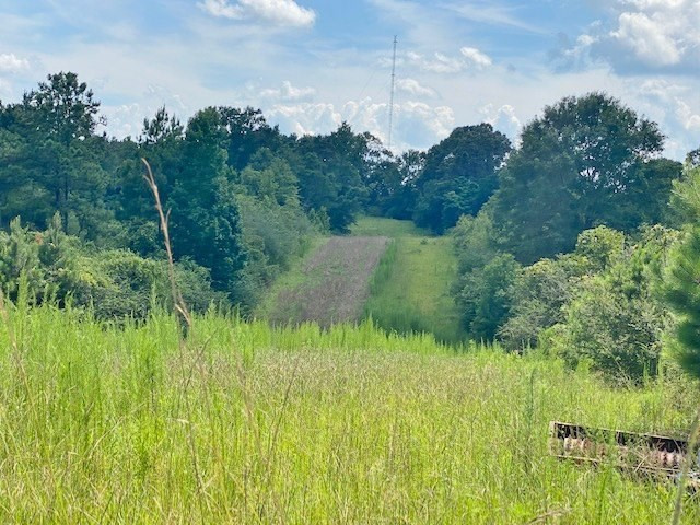 Tbd Vincetown Road Sandy Hook, MS 39478 - Photo 5 of 16 Photo 5